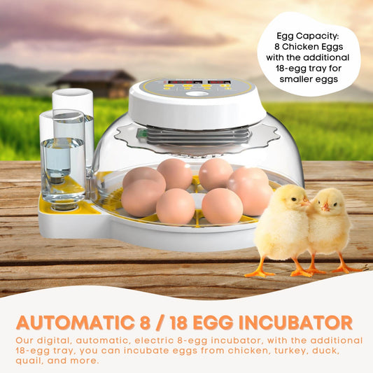 Automatic 8 / 18 Egg Incubator with automatic turning.