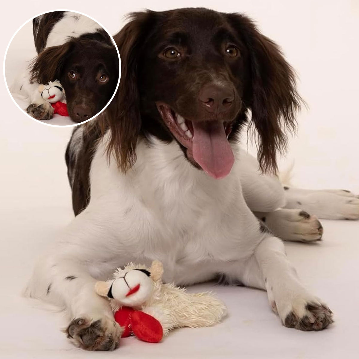 Soft Plush Chew Toy for Puppies and Small Dogs