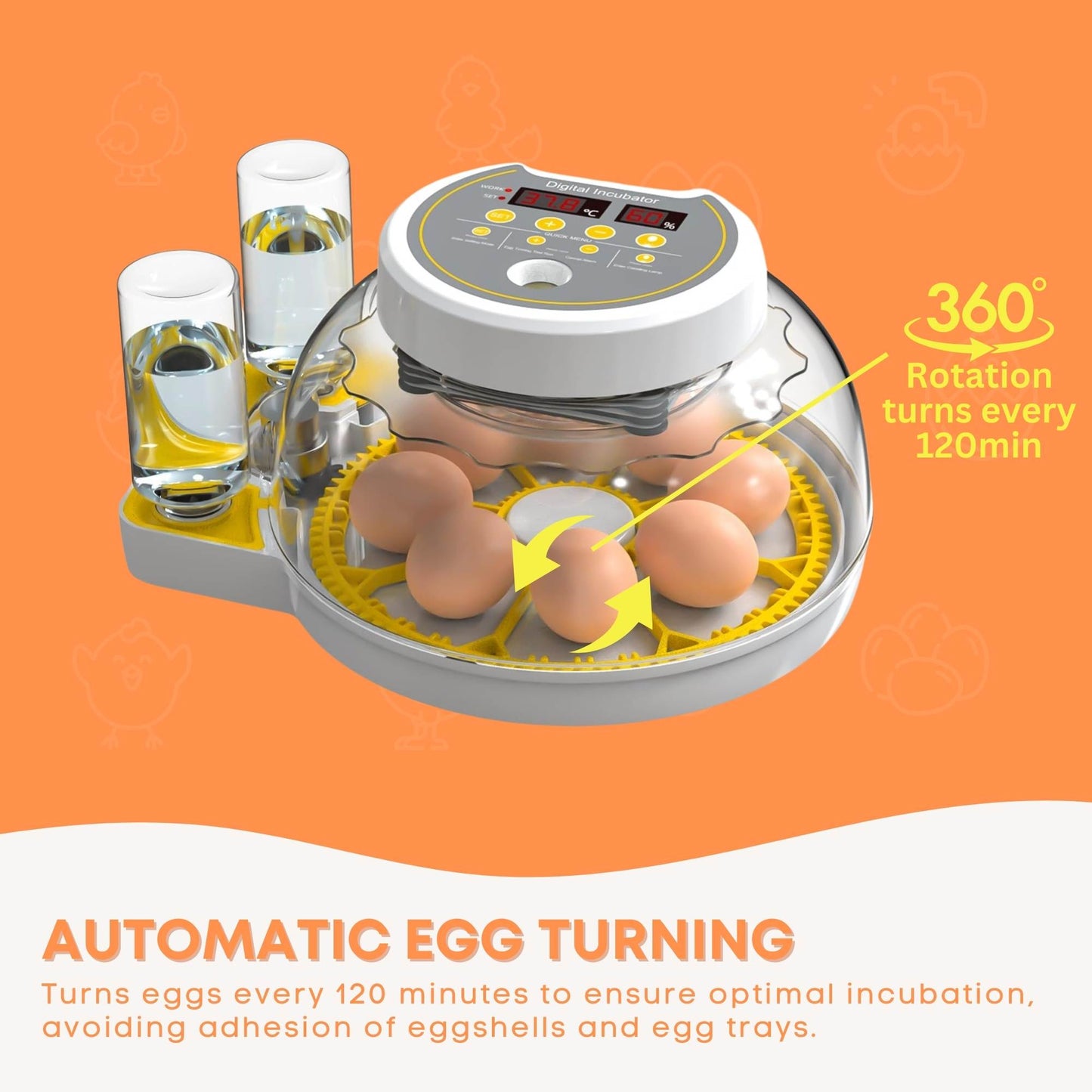Automatic 8 / 18 Egg Incubator with automatic turning.