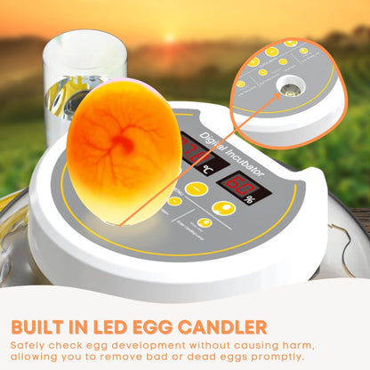 Automatic 8 / 18 Egg Incubator with automatic turning.