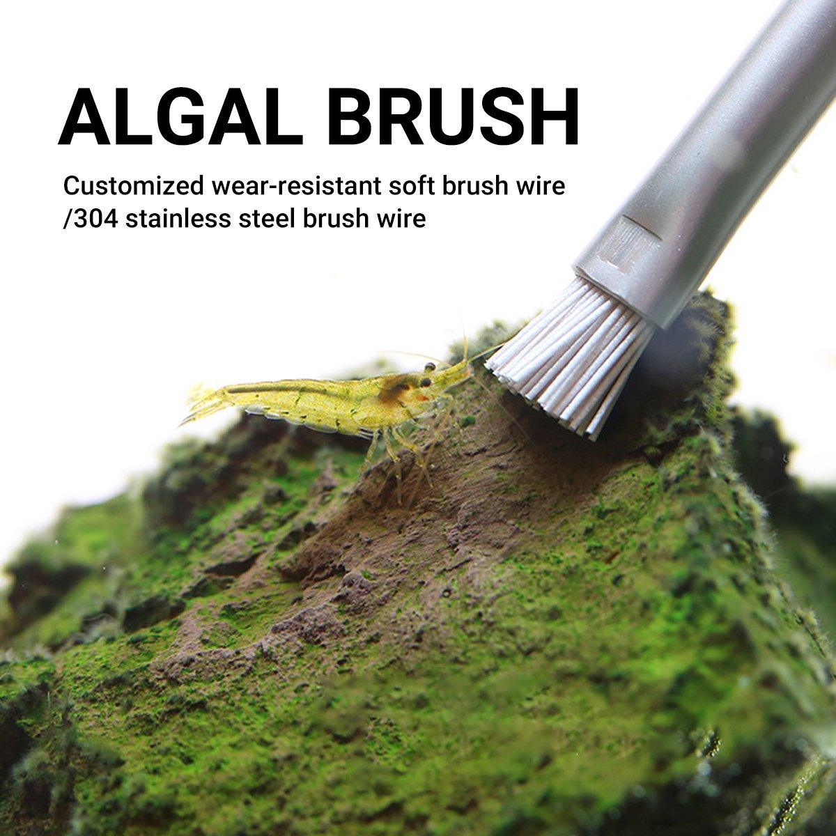 Algae Cleaning Brushes