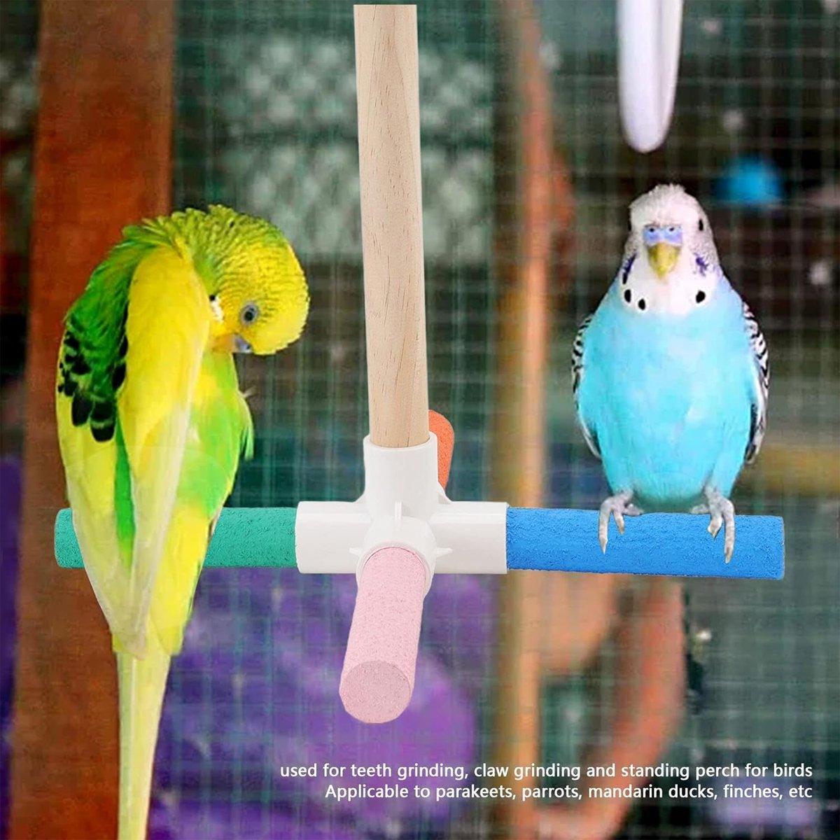 Colorful Bird Cage Perch Stick