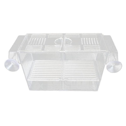 Large Breeder Rearing Isolation Box