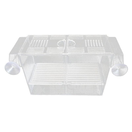 Large Breeder Rearing Isolation Box