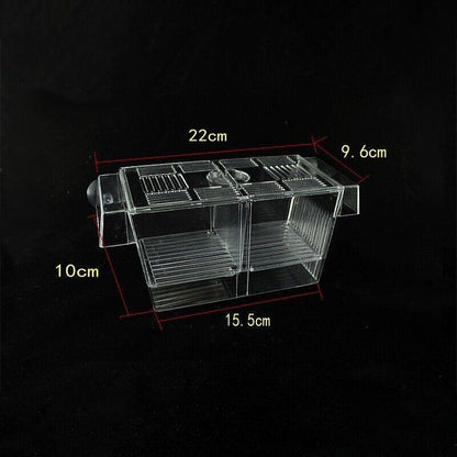 Large Breeder Rearing Isolation Box