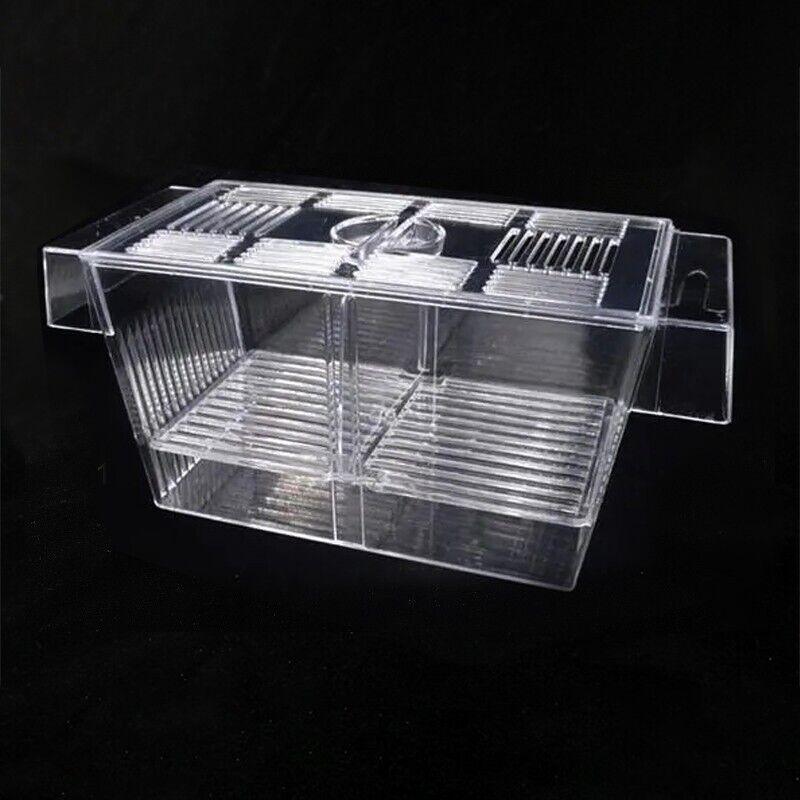Large Breeder Rearing Isolation Box