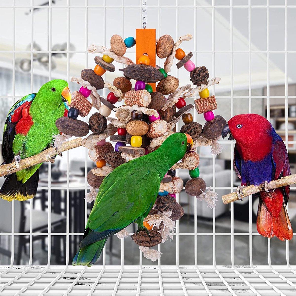 Colourful Parrot Chew Toy