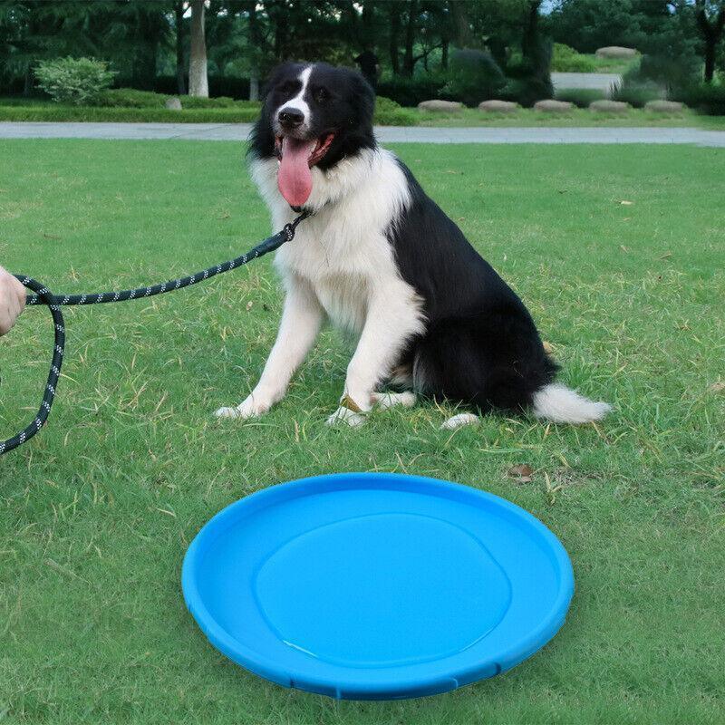 Soft Rubber Pet Flying Disc 18cm