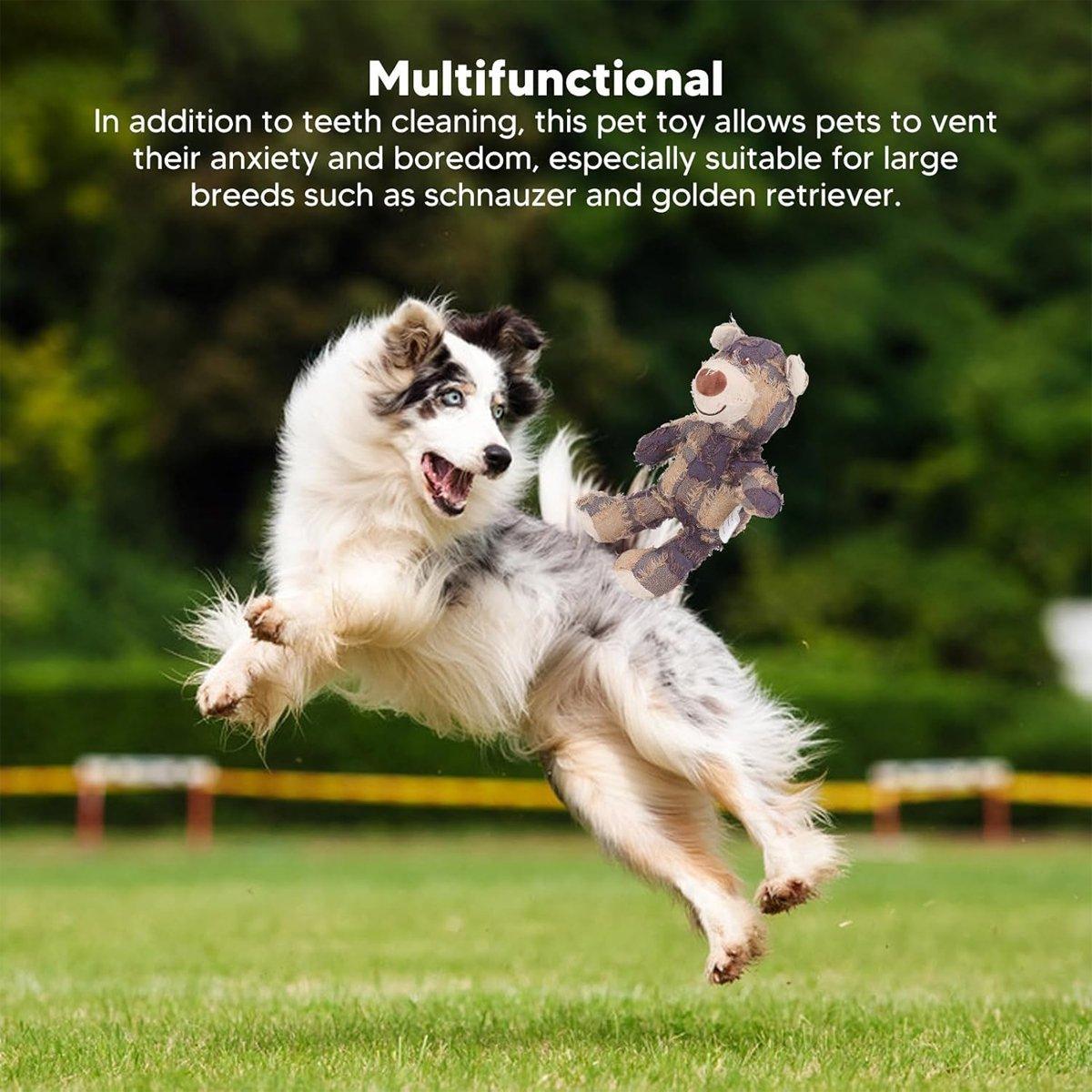 Dog Chew Soft Bear Pet Companion - Large 28cm